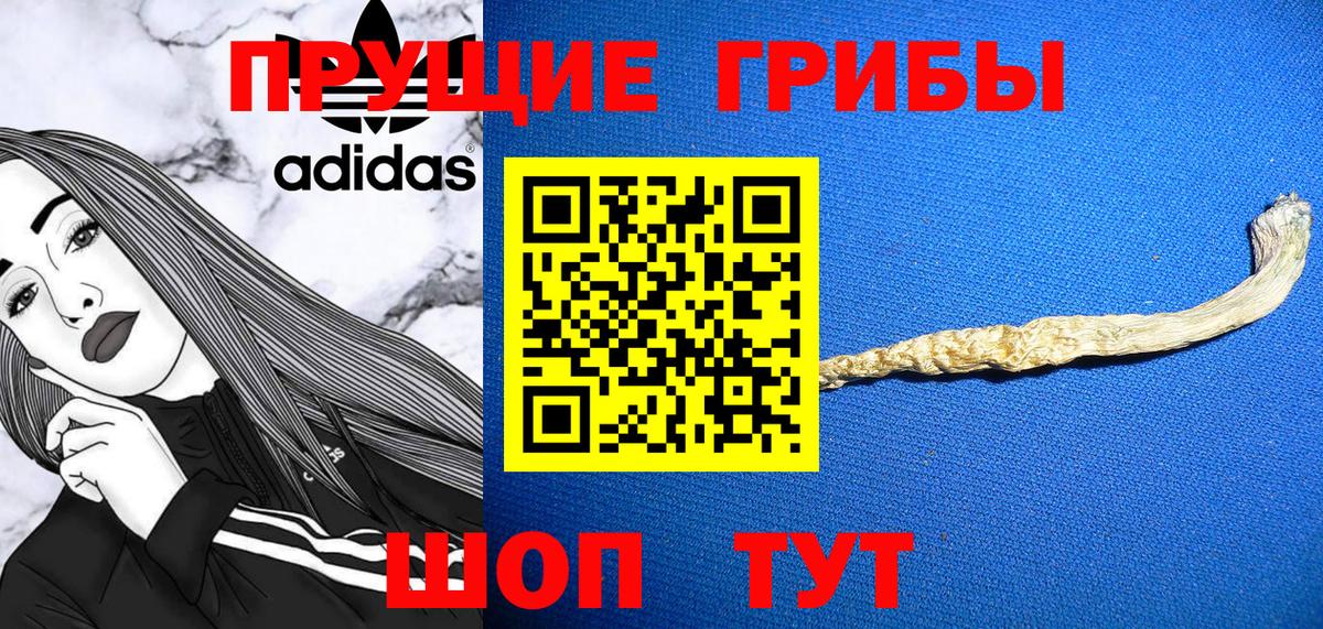 Ижевск  Галлюциногенные грибы Psilocybe  Вход с VPN  Галлюциногенные грибы ЛСД 