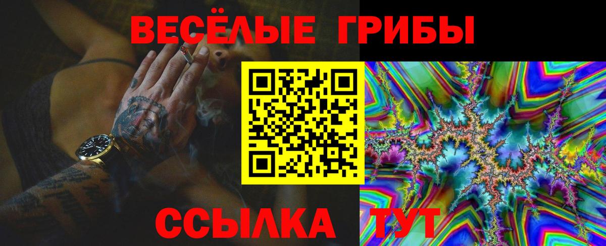 Псилоцибиновые грибы Psilocybe Ижевск
